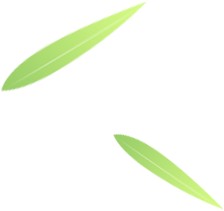 1787107967948533323192528896.png 仲夏逢端午,岁岁皆安康