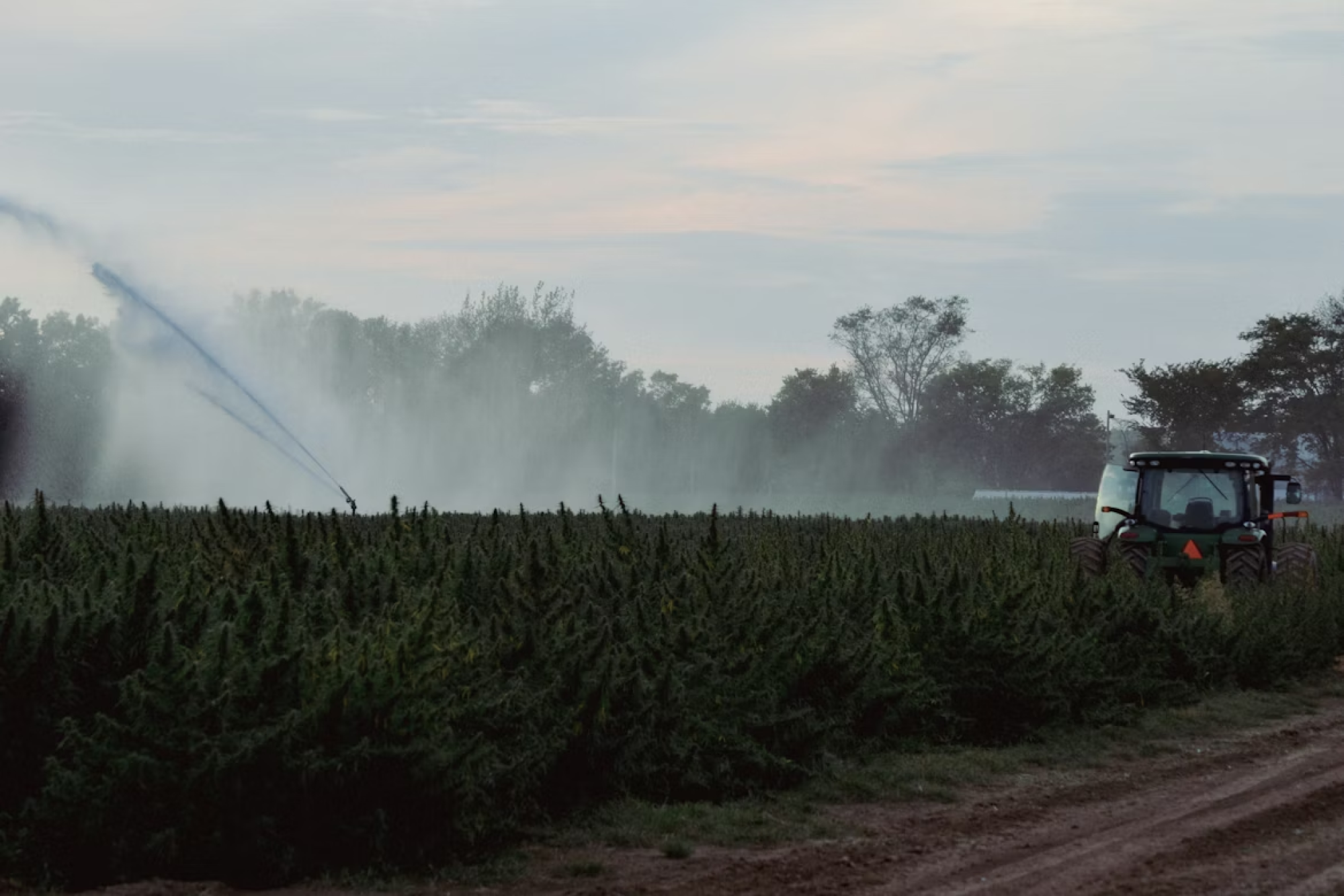 Efficient Mist & Irrigation Solutions for Modern Agriculture