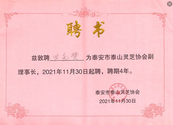 2021年11月30日董事长田克赞兹敦聘为泰安市泰山灵芝协会副理事长
