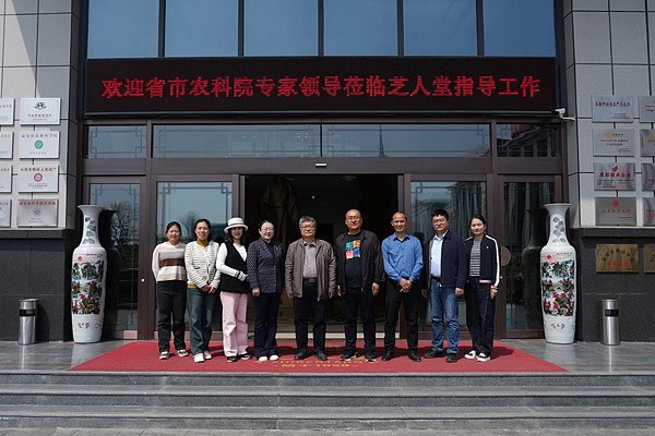 山东省食用菌产业技术体系首席科学家万鲁长等莅临芝人堂指导工作