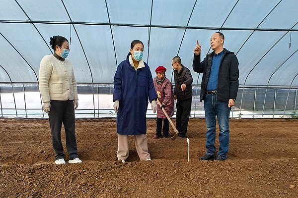 泰安市农科院专家来芝人堂基地指导种植生产
