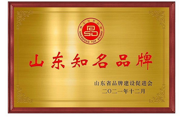 山东知名品牌