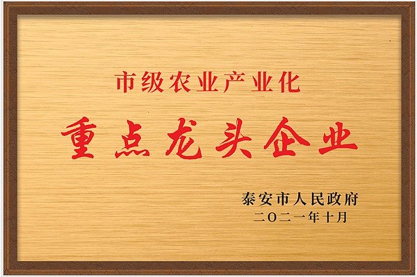 泰安市重点龙头企业