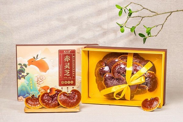 金边灵芝礼盒