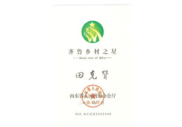 齐鲁乡村之星