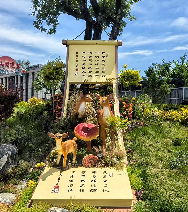 1785920526943552834483326976.png 中国灵芝全产业链标杆企业芝人堂:以国际权威认证为钥,开启泰山灵芝全球化新征程
