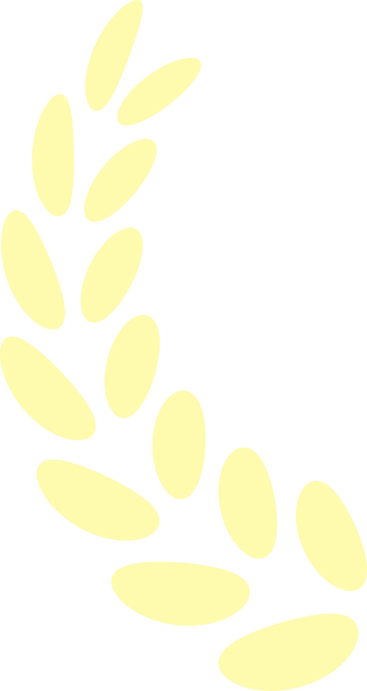 1787883577951786468216172544.png 喜报!芝人堂荣获2026山东省科技金桥奖优秀项目一等奖