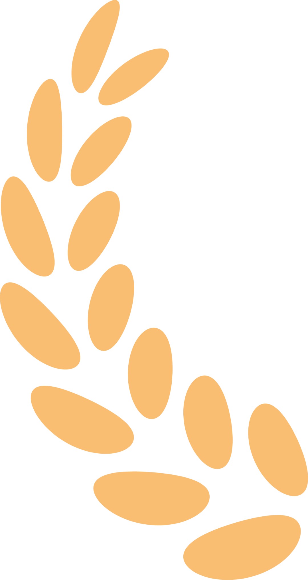 1787883579951786479284940800.png 喜报!芝人堂荣获2026山东省科技金桥奖优秀项目一等奖