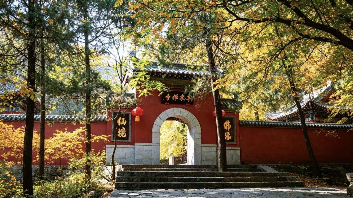 放心，是亲眼看见的｜芝人堂第15期泰山灵芝溯源之旅圆满收官