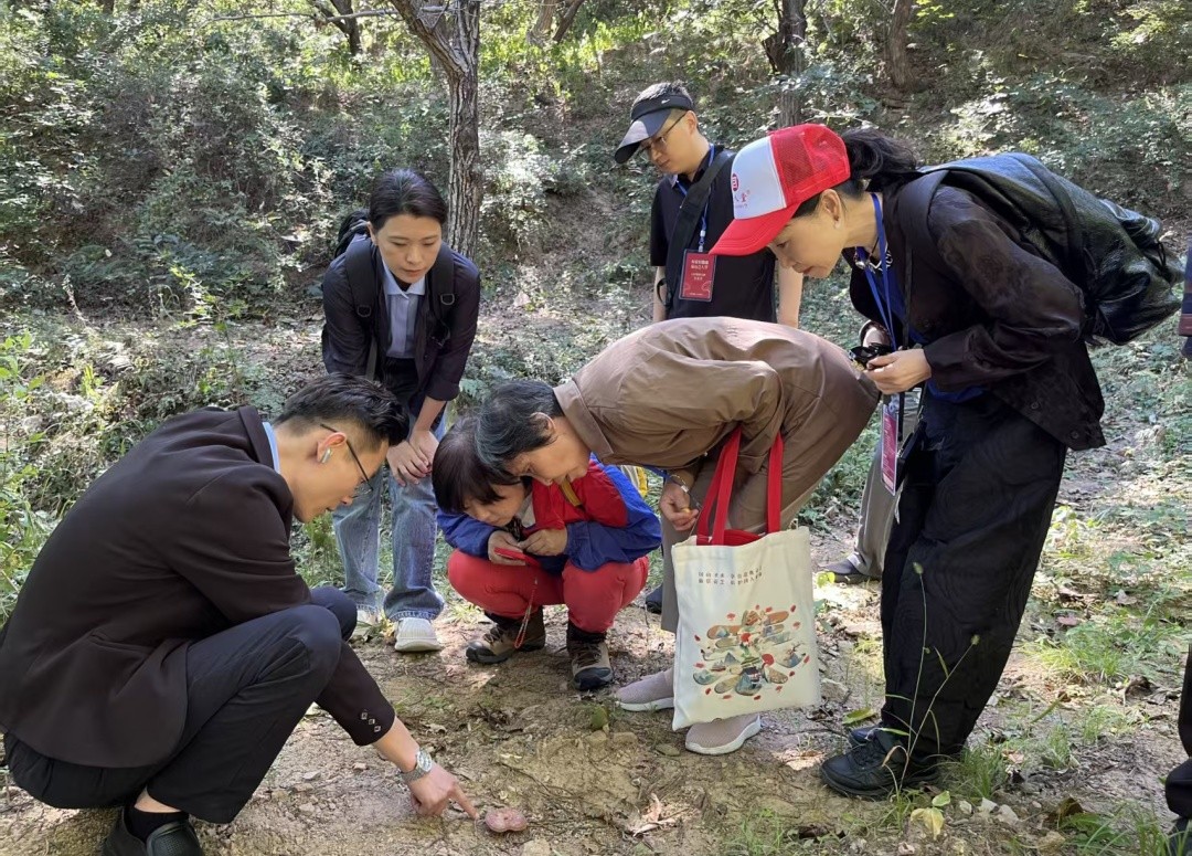 放心，是亲眼看见的｜芝人堂第15期泰山灵芝溯源之旅圆满收官