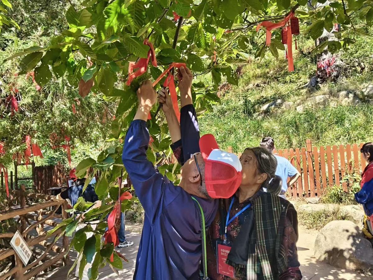 放心，是亲眼看见的｜芝人堂第15期泰山灵芝溯源之旅圆满收官