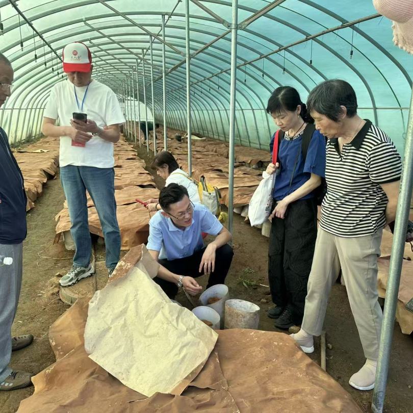 放心，是亲眼看见的｜芝人堂第15期泰山灵芝溯源之旅圆满收官