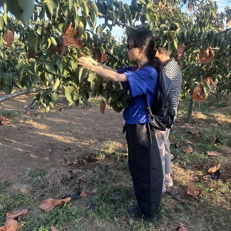 放心，是亲眼看见的｜芝人堂第15期泰山灵芝溯源之旅圆满收官