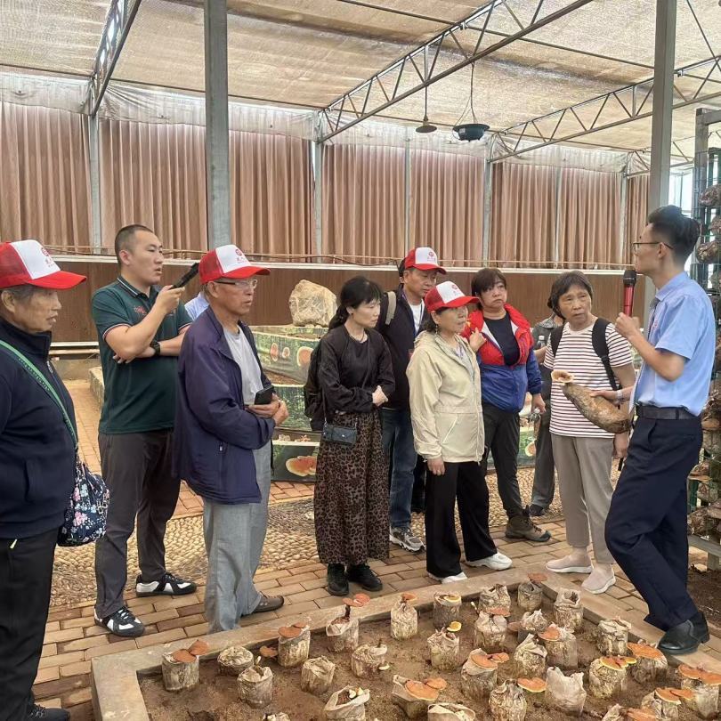 放心，是亲眼看见的｜芝人堂第15期泰山灵芝溯源之旅圆满收官