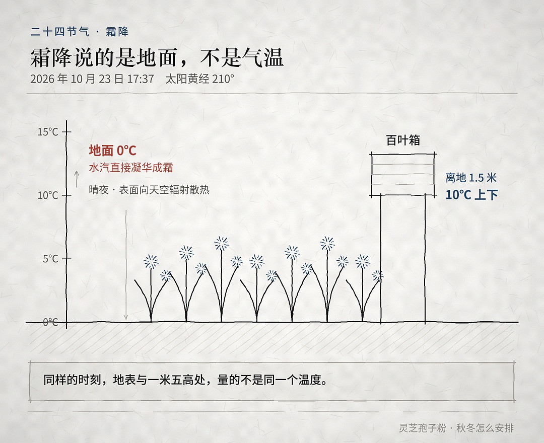 01_霜降_温度分两层 霜降后关节怕凉、老寒腿犯了?灵芝孢子粉能不能吃,先看这一点