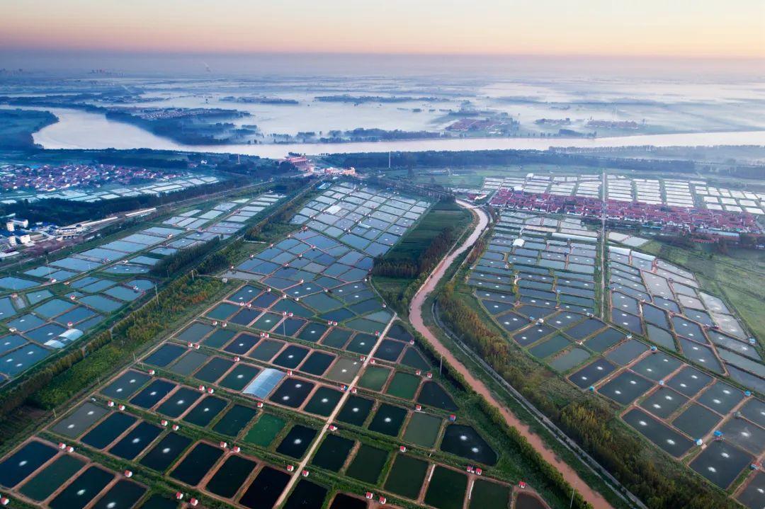 Application scenario 1 Tail water treatment for freshwater pond aquaculture Application scenario 1 Tail water treatment for freshwater pond aquaculture