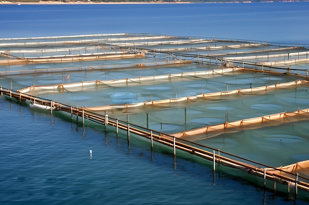 Application Scenario 3 Ecological Management of Fishery Tail Water in Modern Marine Aquaculture