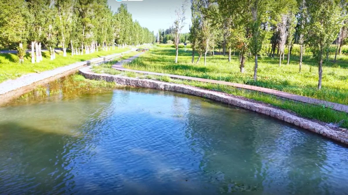 Application scenario 4 Ecological treatment of fishery aquaculture effluent in composite artificial wetland Application scenario 4 Ecological treatment of fishery aquaculture effluent in composite artificial wetland