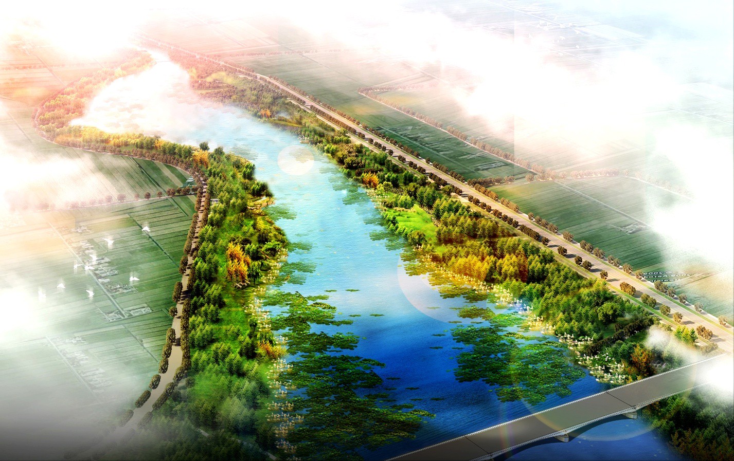 人工湿地规划与建设