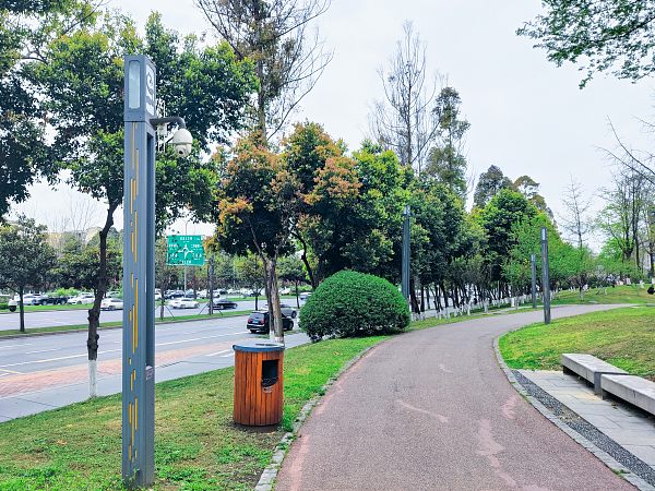 وضوح الرؤية مع انسجام بصري