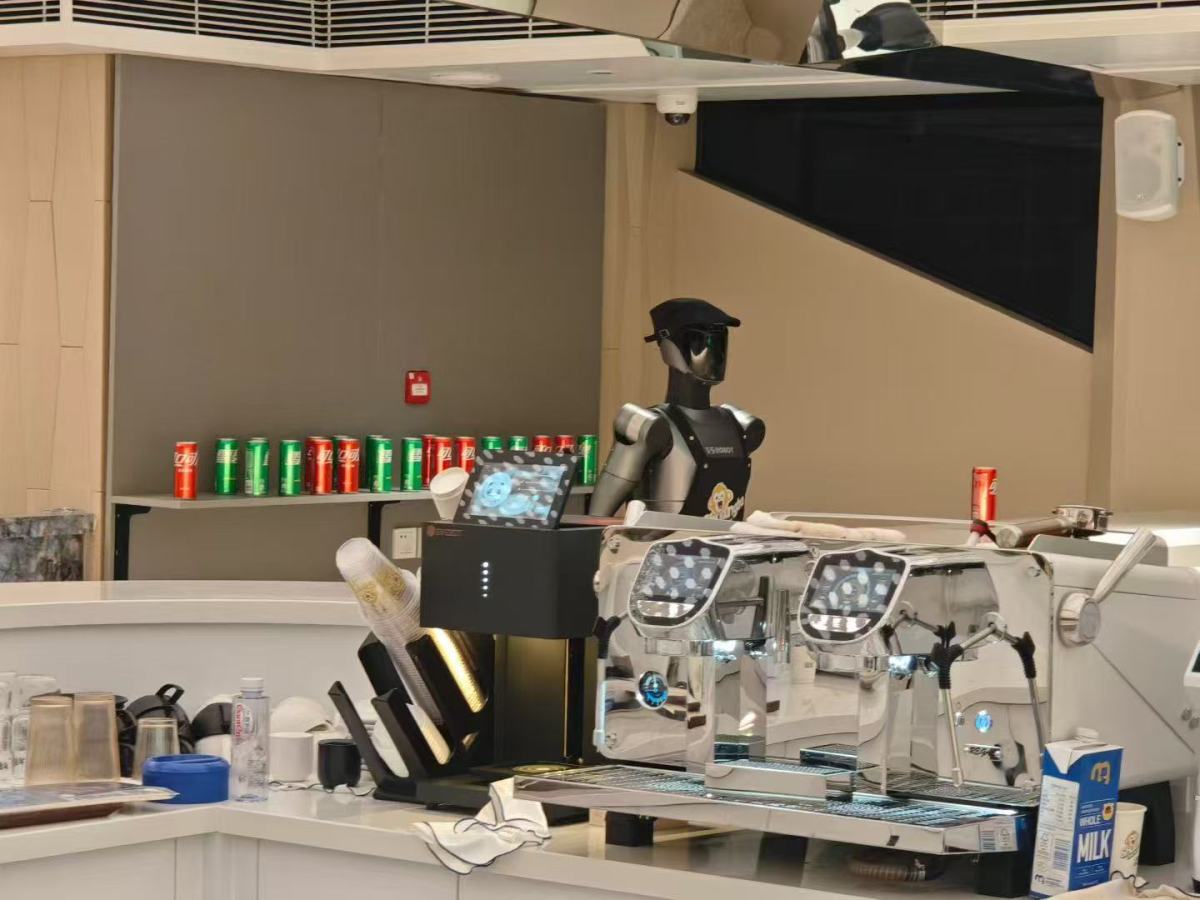 humanoid robot