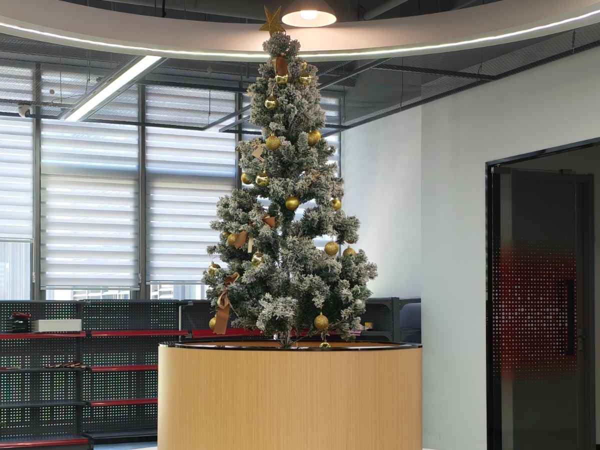 鸿磐将圣诞庆祝活动与团队建设相结合